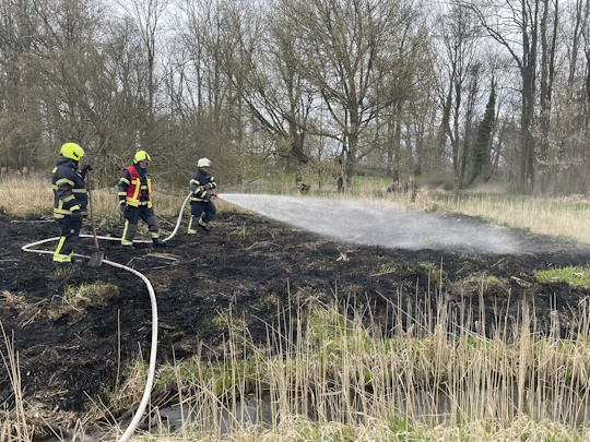 Einsatz-027-2025-Bild-2