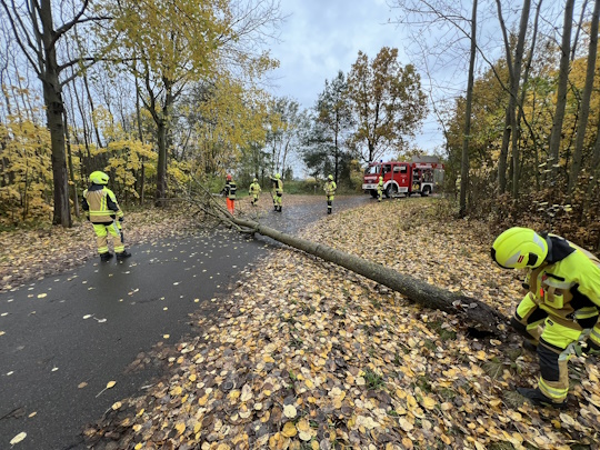 Einsatz-161-2025-Bild-1
