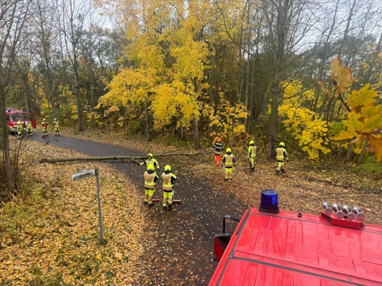 Einsatz-161-2025-Bild-2